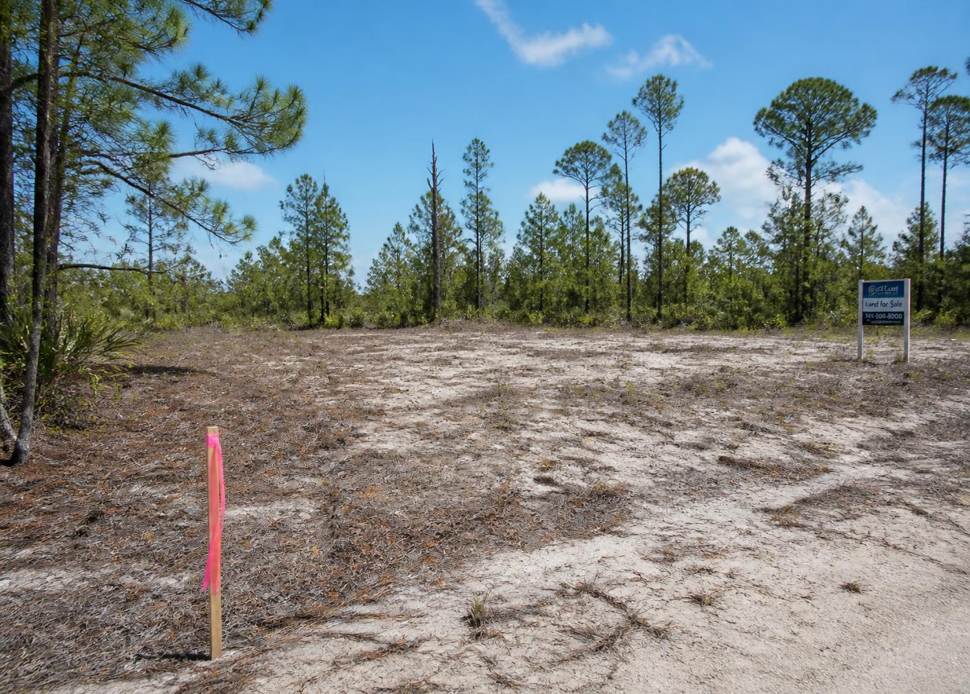 A cleared Florida building lot with a survey stake, before construction begins